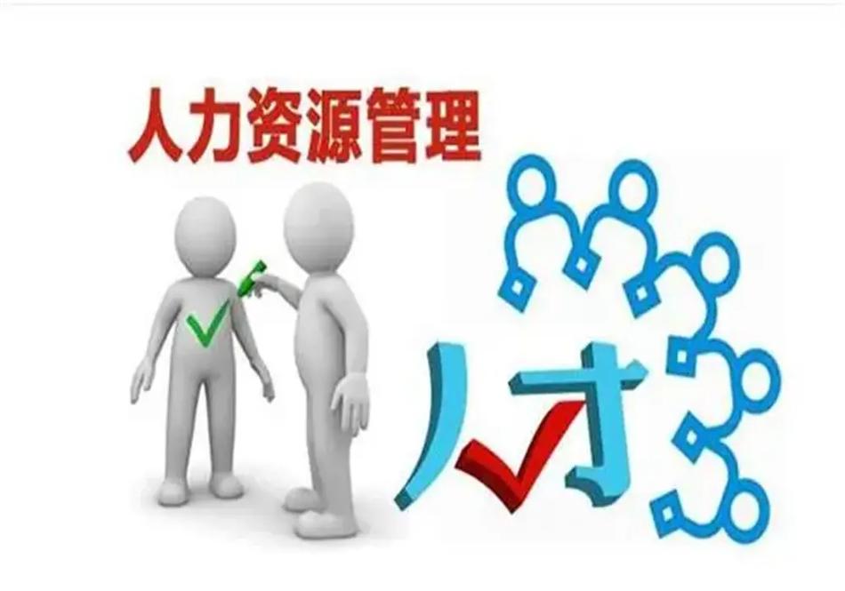 长春人力资源服务外包优选指南 拥抱多元包容，共创卓越职场